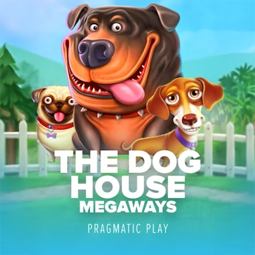Prueba diferentes combinaciones ganadoras en The Dog House Megaways de Stake.